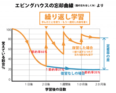 エビングハウス.png